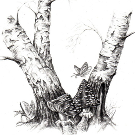 Два мухомора