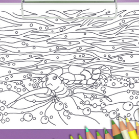 Морская черепаха