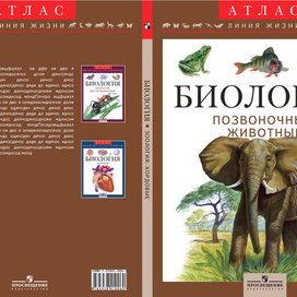 рисунок для обложки атласа