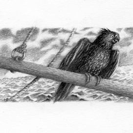 Б.Акунин "Сокол и Ласточка" Шмуцтитулитул