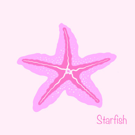 Морская звезда