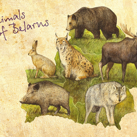 Животные Беларуси