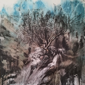 Горный ручей