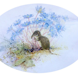 попытка букета