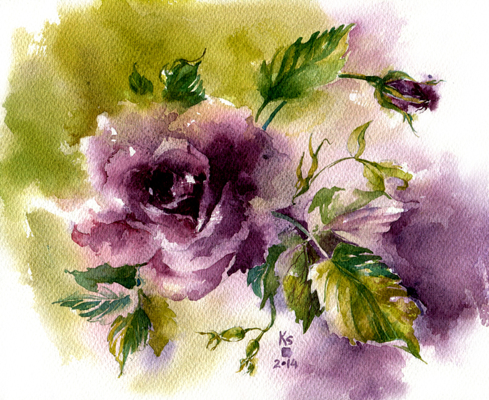 Purple rose