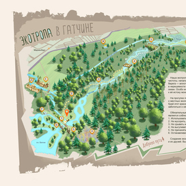Экотропа в Гатчине