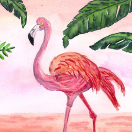 Pink Flamingo / Розовый фламинго