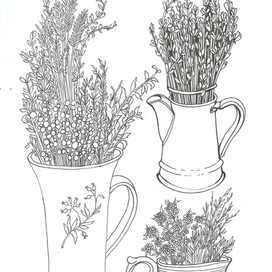 сухие травы