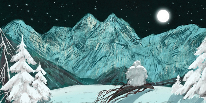 "Про Снежного человека" Т.Вокин.