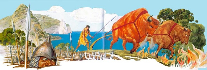 Поле засеянное