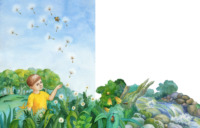 Одуванчики