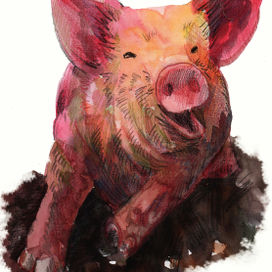 хряк в грязище