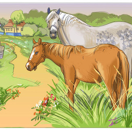 Лето в деревне