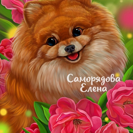 Шпиц и цветы