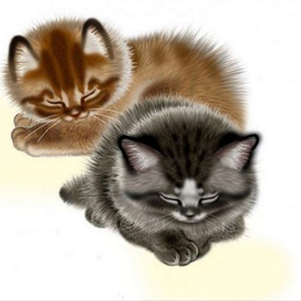 Осваивал Пейнтер