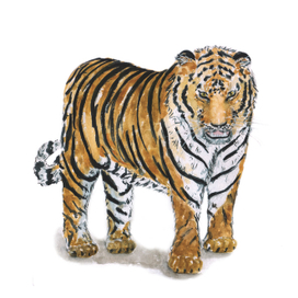 Амурский тигр