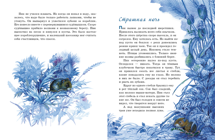 "Мышонок Пик"