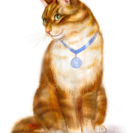 Кошка с медальоном