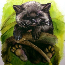 Детёныш лисицы