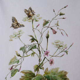 Цветочная композиция с вьюнком