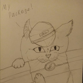 Отважный почтальон-котик