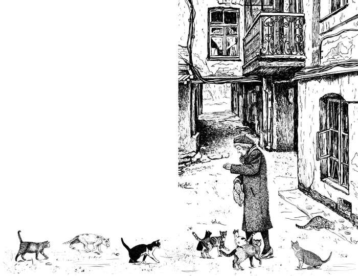 Иллюстрация для "Кошкин город. Бродячие истории (Аквилегия-М)