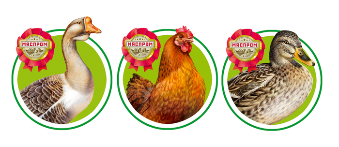 птички на этикетки