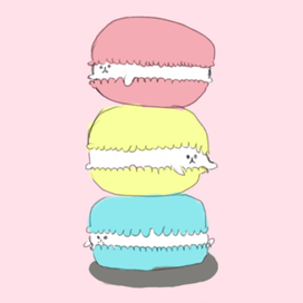 macaroon