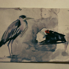 из серии "зоопарк"