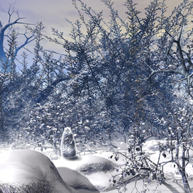 В зимнем лесу