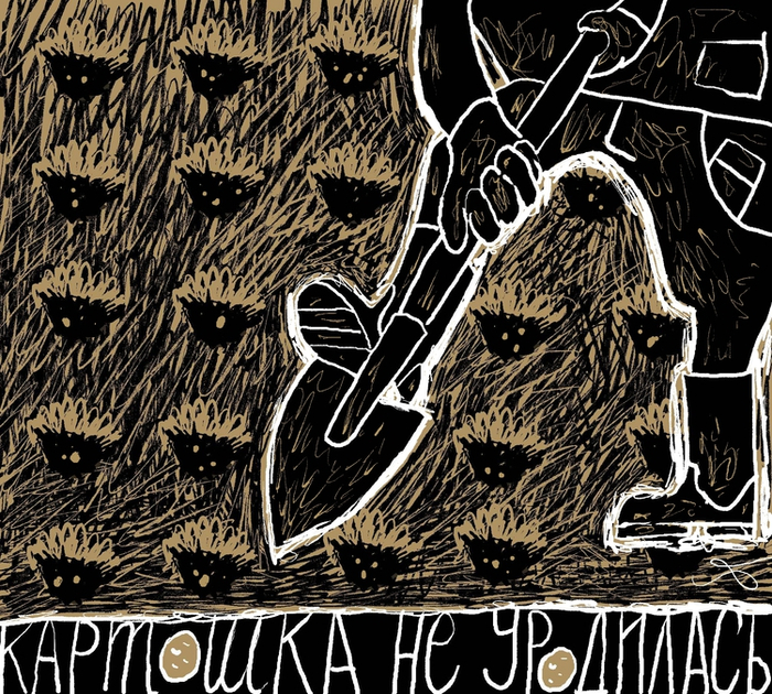 Картошка не уродилась