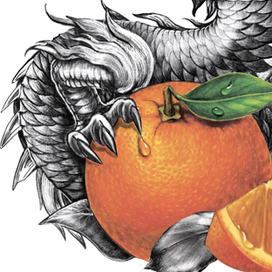 иллюстрация дракон 