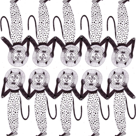 pantera pattern