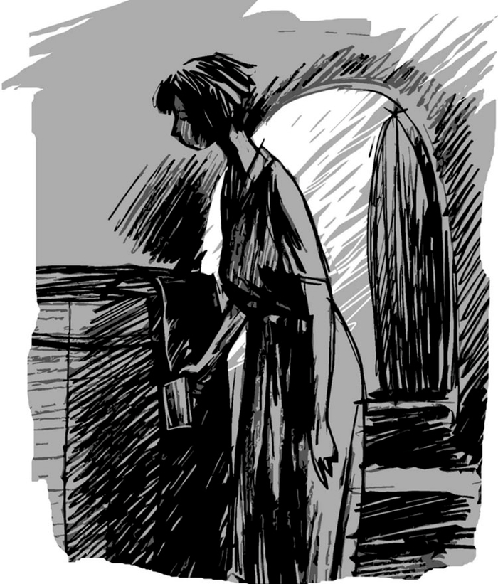 Стороны Света