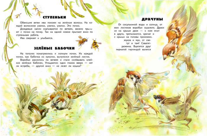 Опять драчуны, много драчунов)))