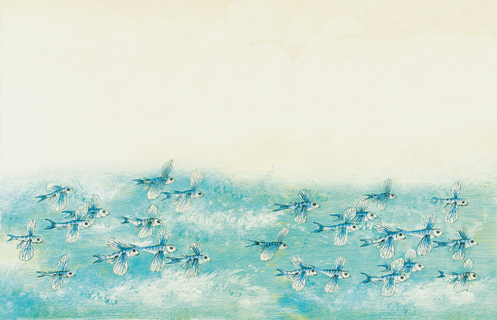 Летающие рыбки