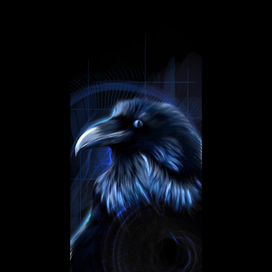 Raven