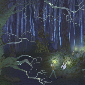 Мальчики и лес