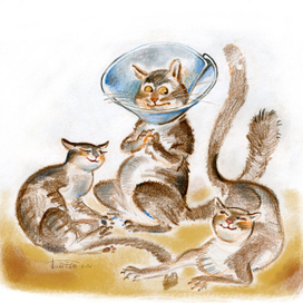 поздравление