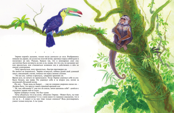 "Ягуар-гаримпейру"  разворот 11