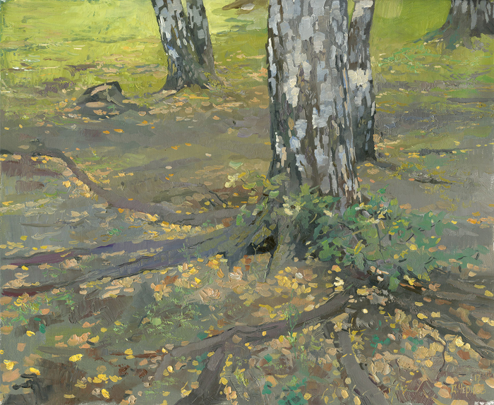 Дубочек под березкой