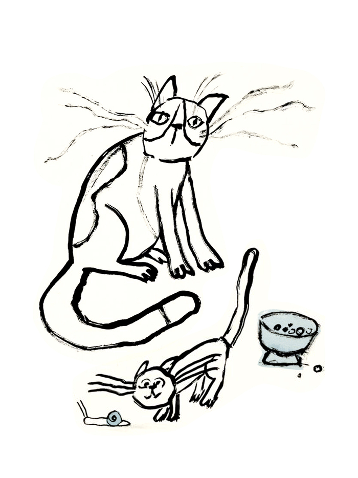 Котёнок
