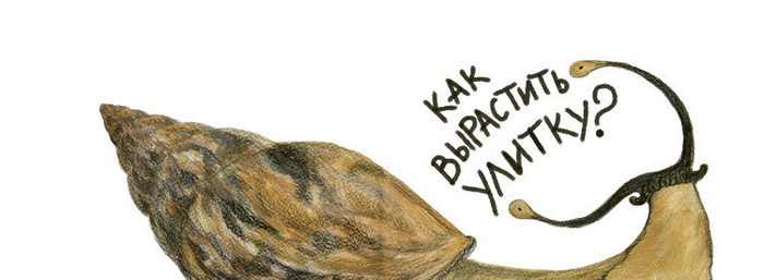 И правда, как?