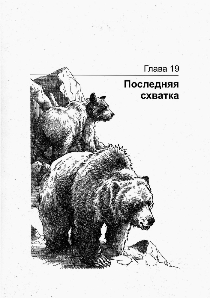 ГРИЗЛИ. Последняя схватка