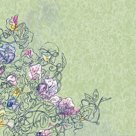 "Душистый горошек" принт для скрап-бумаги Mr.Painter