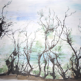 осенний силуэт