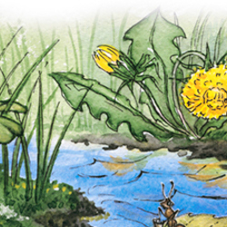 путешествие муравья