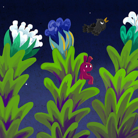 летняя ночь