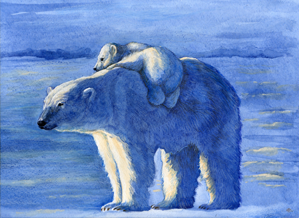 Белые медведи