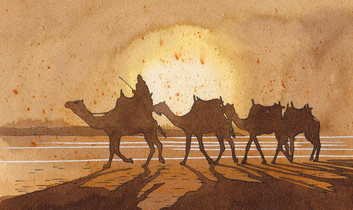 В пустыне (7)